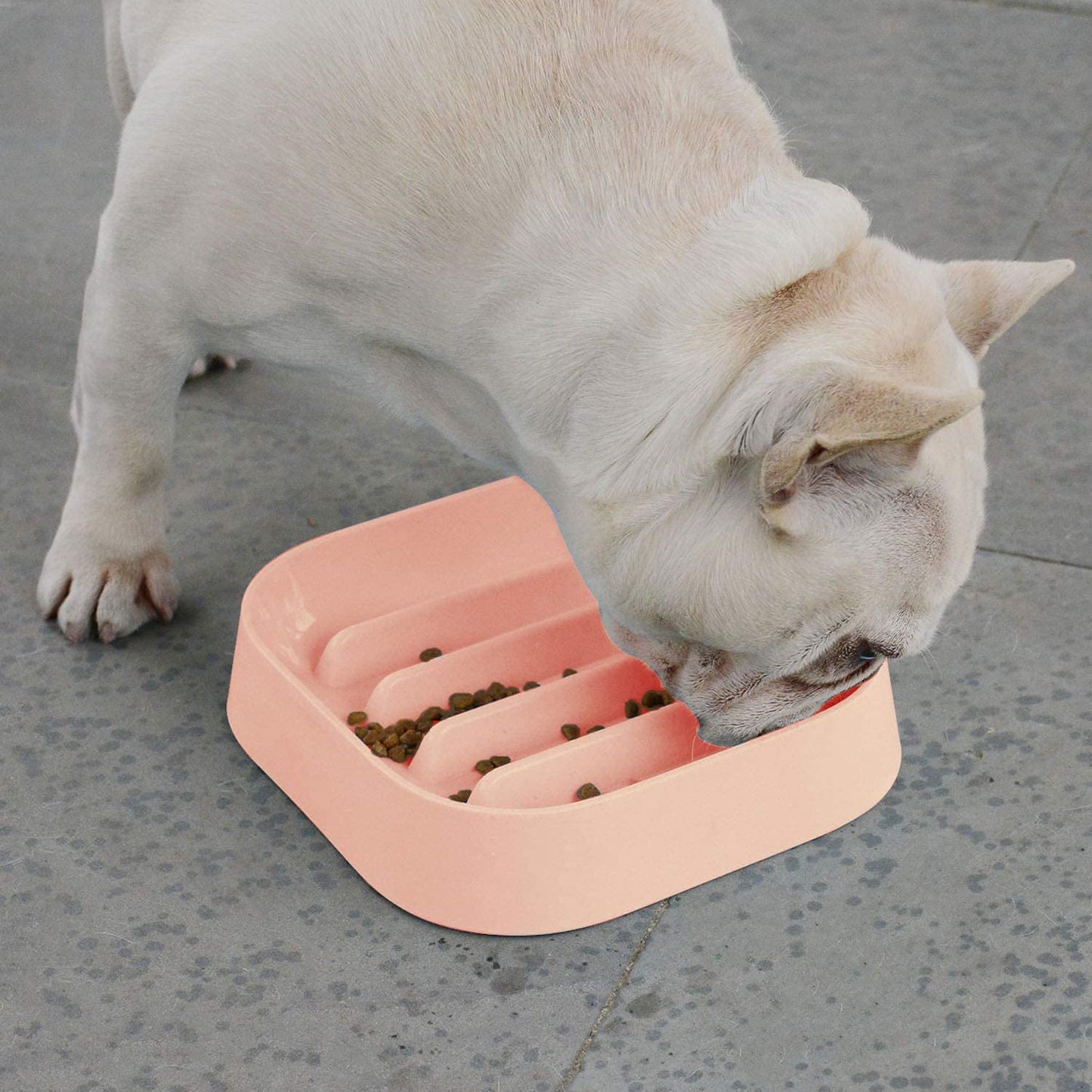 Pets Empire Dog Anti-Choking Feeding Bowl ( Color May Vary)