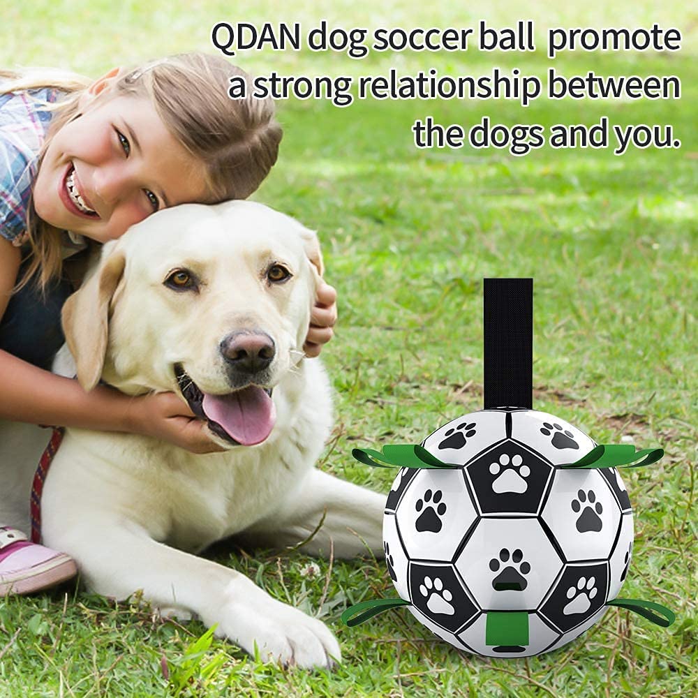 PETS EMPIRE Football Toy for Dogs