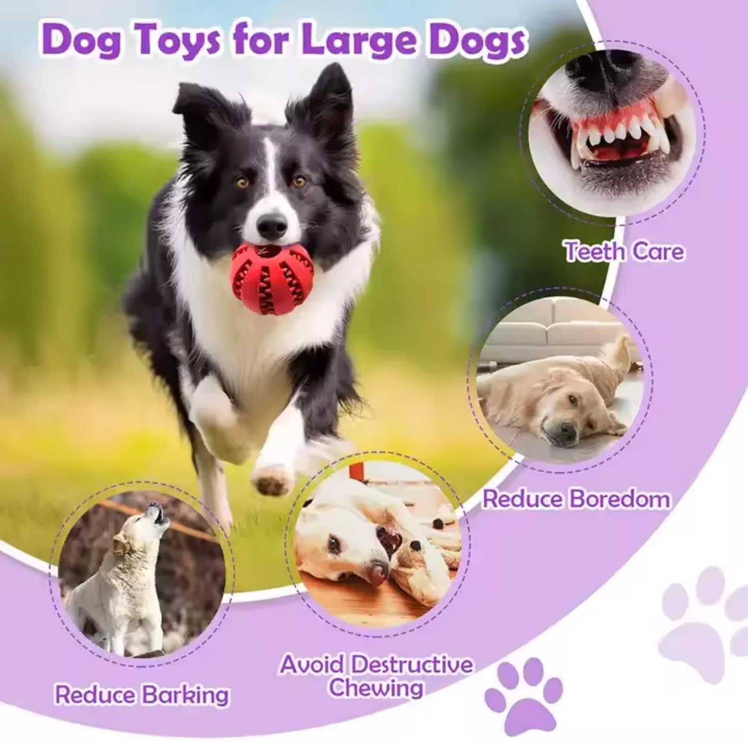 Pets Empire Rope & Treat Ball Combo