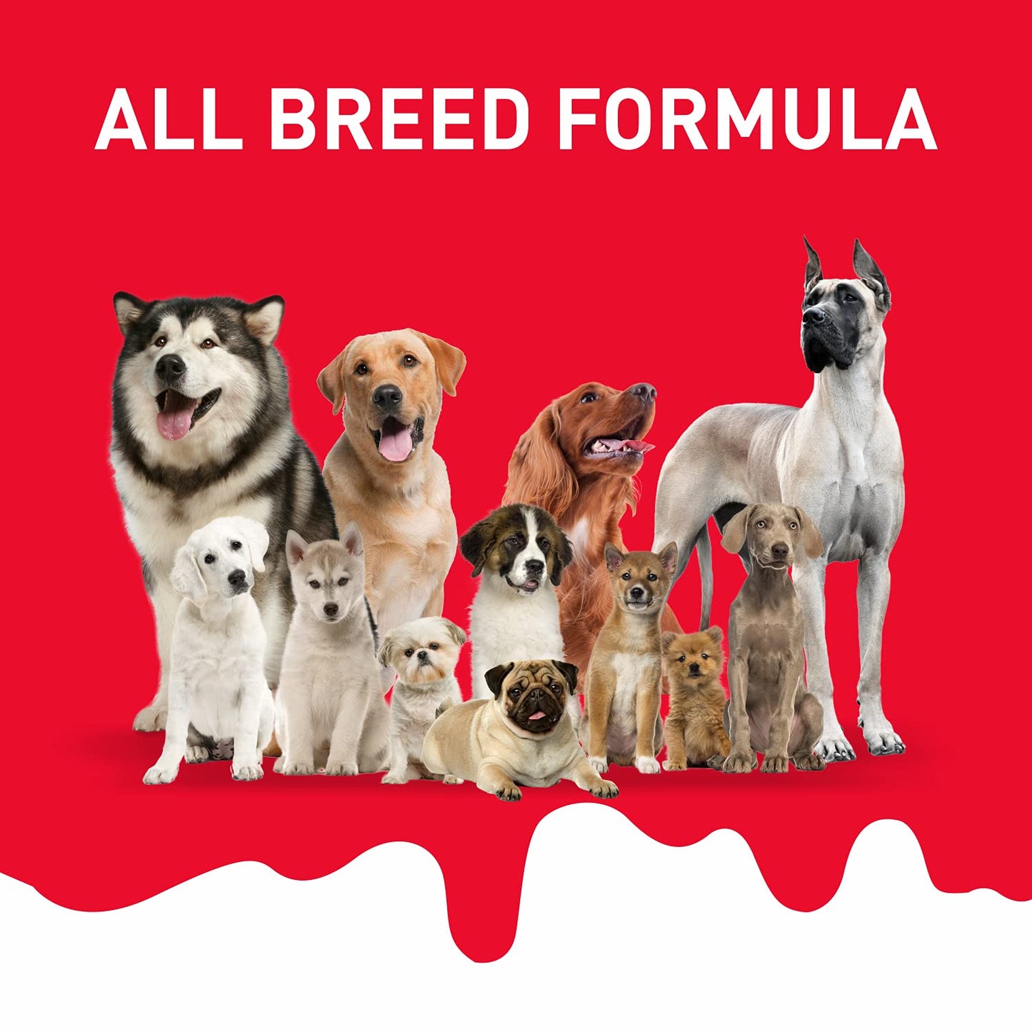 Drools Absolute Dog Bone Treats, Milk Flavour