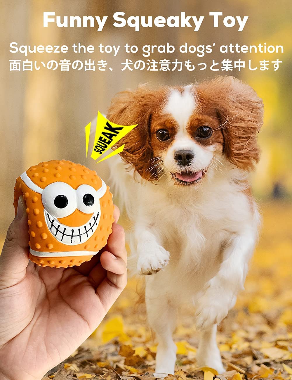 Pets Empire Balls for For Puppy Dogs (Any 2 pc)