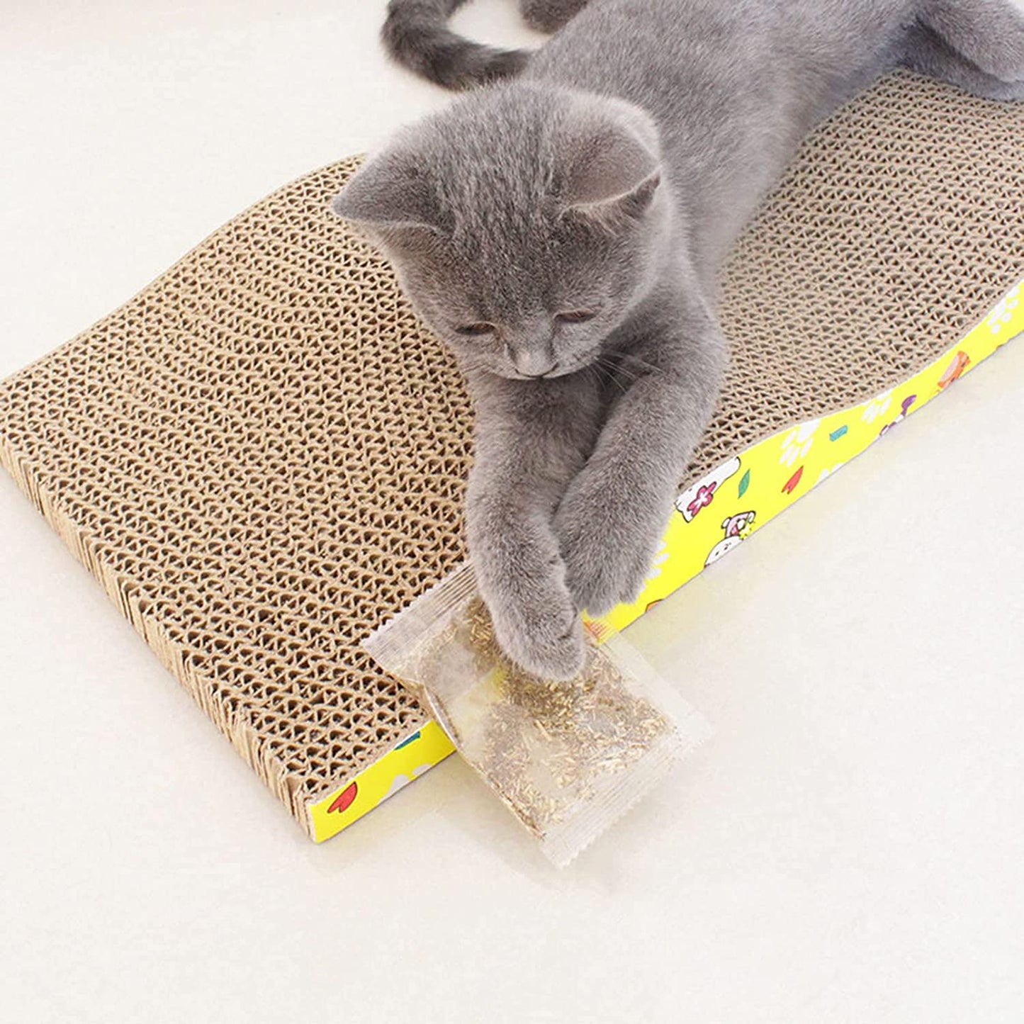 Pets Empire Scratch Board with a Curved Wave Design