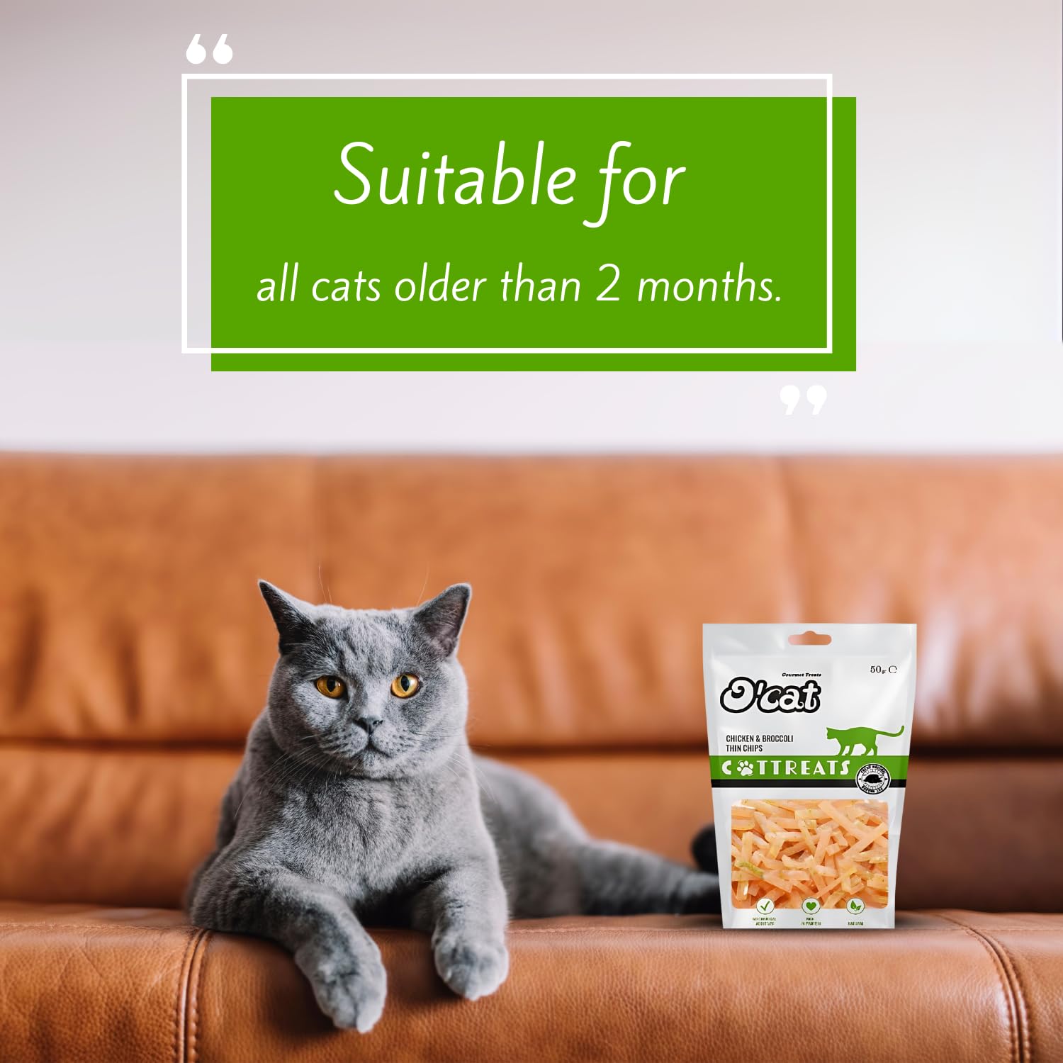 O'Cat Chicken and Broccoli Thin Chips 50 GMS (Pack of 2)