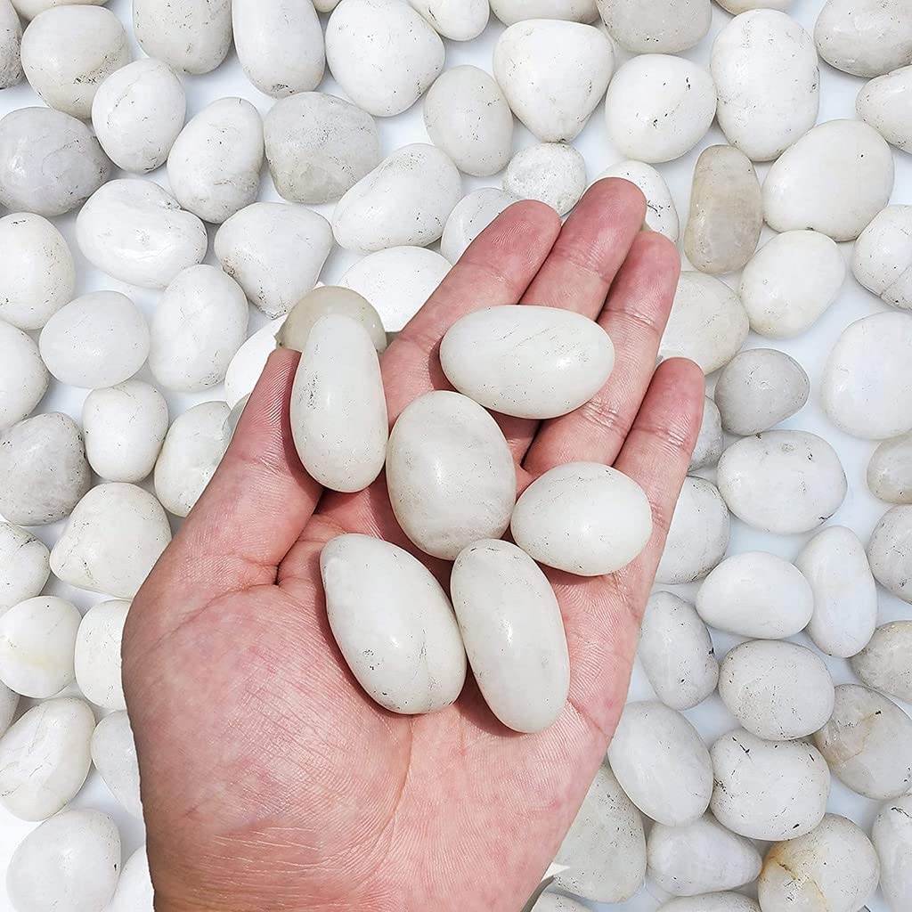 Pets Emprie White Pebbles Stones Large Natural Decorative Polished for Garden - 1 KG