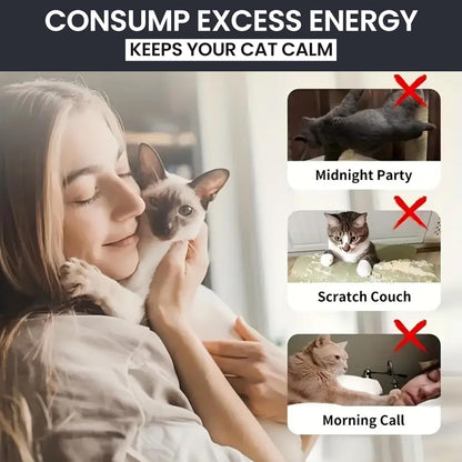 Pets Empire Suction Cup Cat Teaser Toy