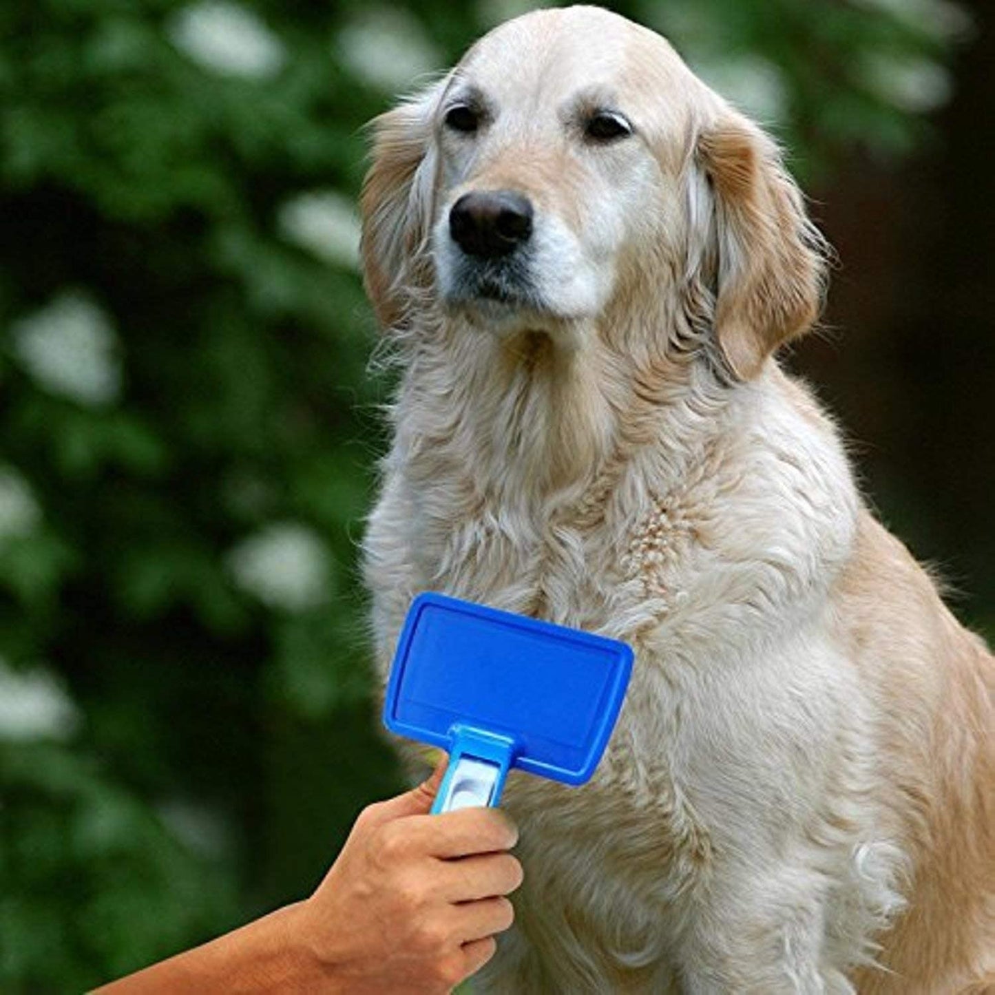 Pets Empire Deshedding Brush for Dogs