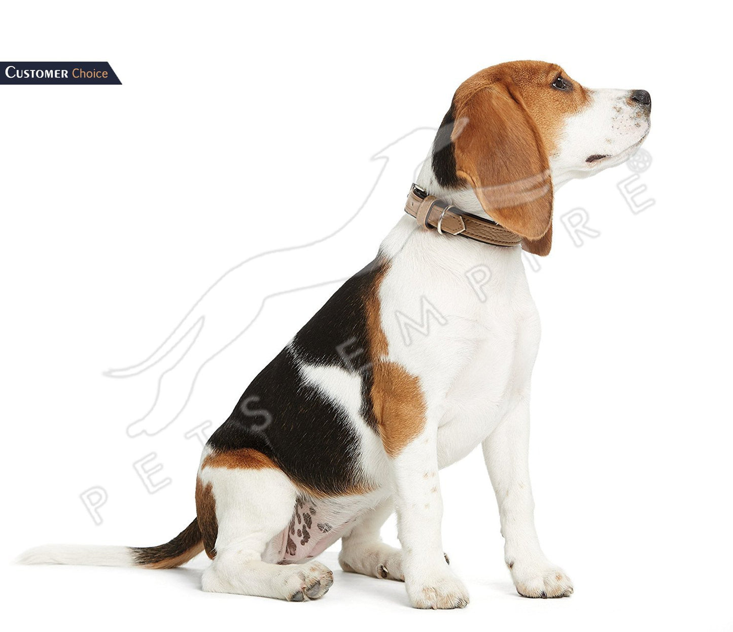 Pets Empire Leather Collar for Dogs