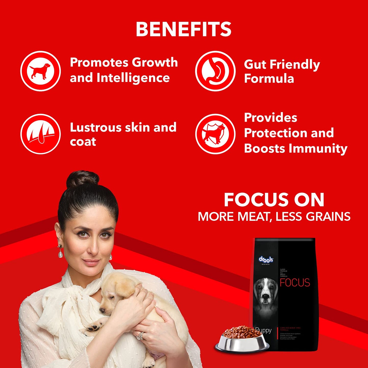 Drools Focus Premium Puppy Dry Dog Food, Chicken Flavor