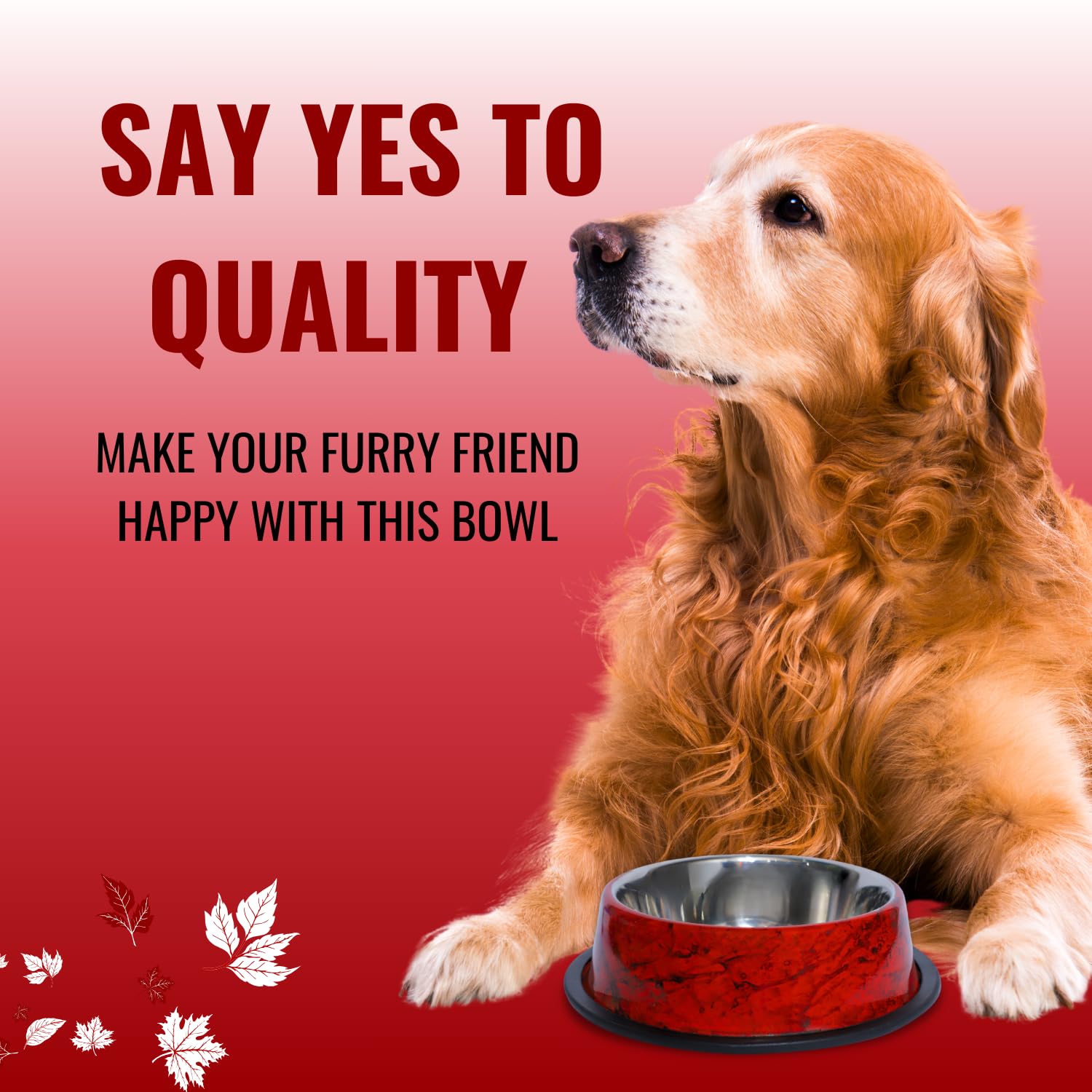 Pets Empire Stainless Steel Pets Bowl (700ml x 2, White & Red)