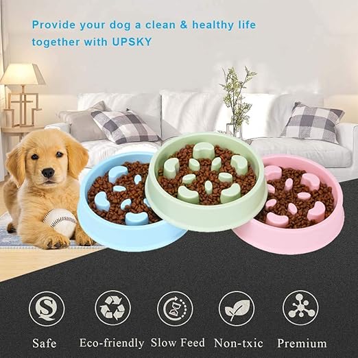 Pets Empire Slow Feeder Plastic Dog Bowl- 1 Peace