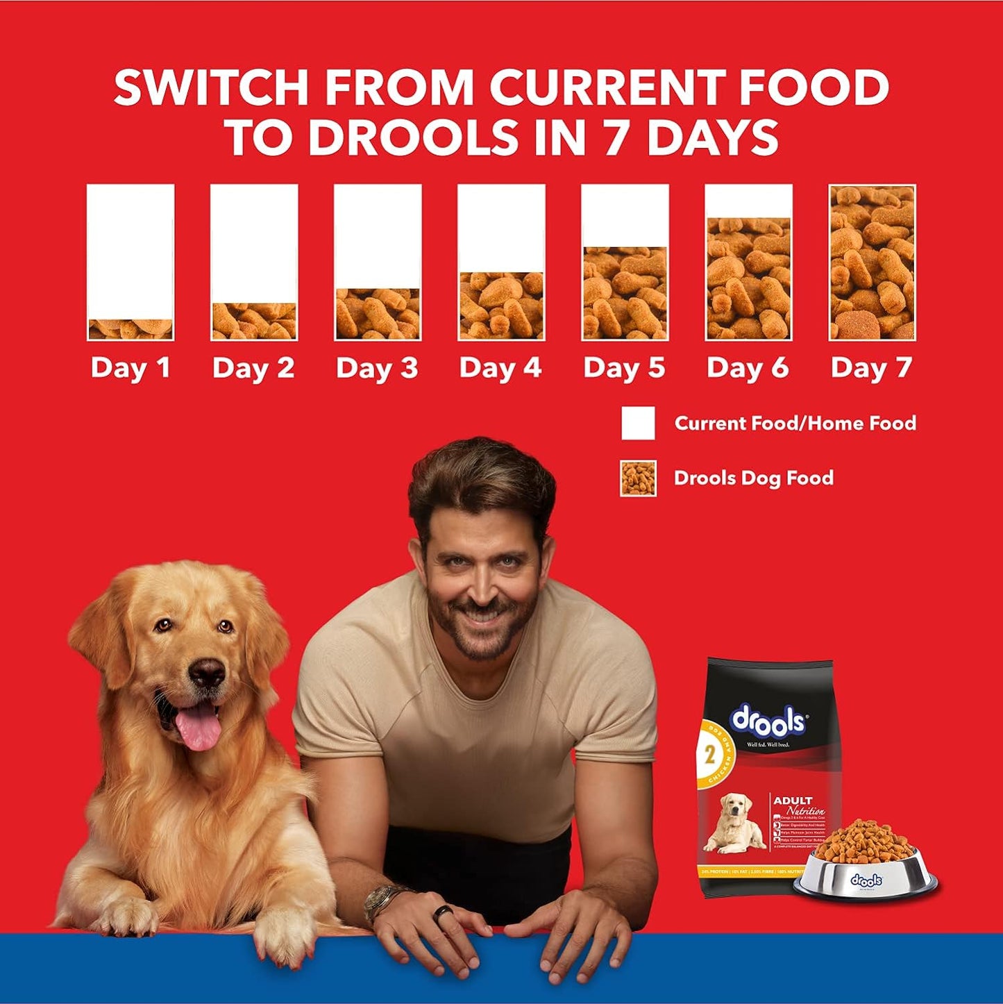 Drools Chicken and Egg Adult Dog Dry Food - 3kg