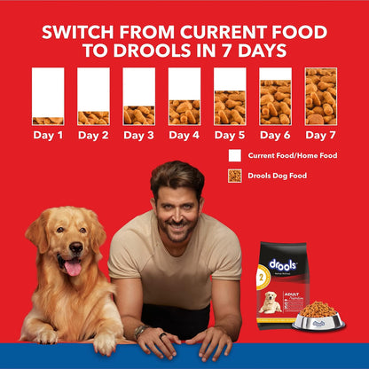 Drools Chicken and Egg Adult Dog Dry Food - 3kg