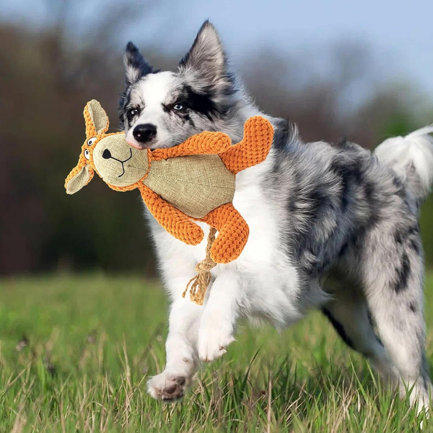 PETS EMPIRE RABIT Squeaky Plush Soft Chew Toy for Dogs