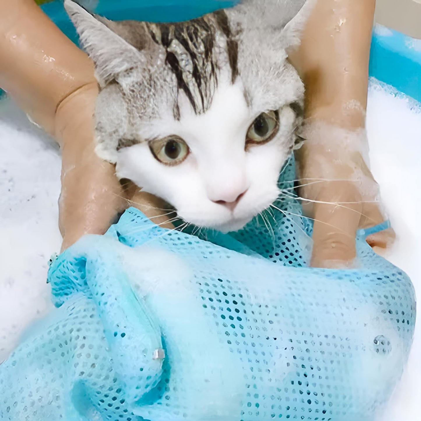 Pets Empire Cat Grooming Bag for Bathing & Nail Trimming