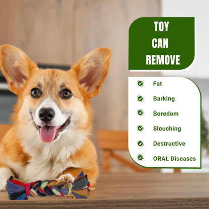 PETS EMPIRE Dog Rope Chew Toy for Small and Medium Breeds pack of 5