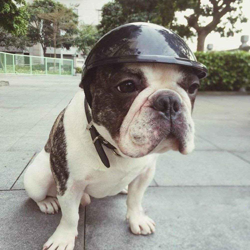 Pets Empire Dog Riding Helmet
