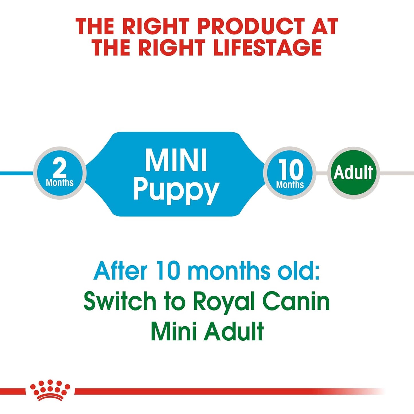 ROYAL CANIN MINI PUPPY DRY FOOD