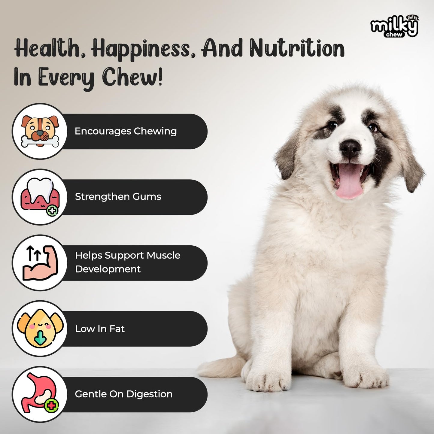 Dogaholic Milky Chew Bone Style Dog Treats-210g