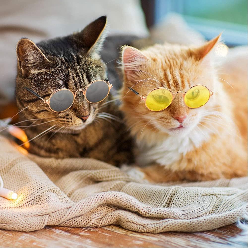 Pets Empire Eye Protection Sunglasses for Cat/Dogs