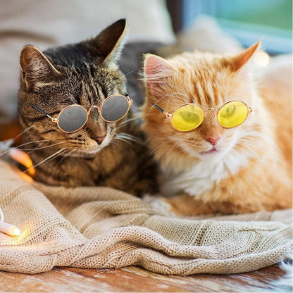 Pets Empire Eye Protection Sunglasses for Cat/Dogs