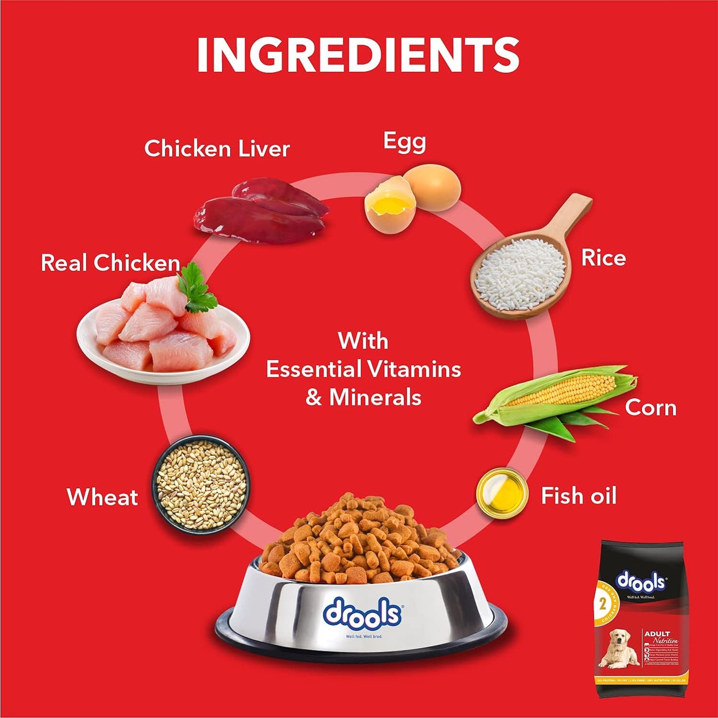 Drools Chicken and Egg Adult Dog Dry Food - 3kg