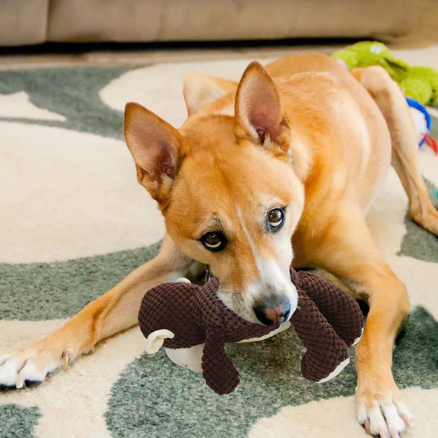 PETS EMPIRE Monkey Plush Rope Chew Toy for Dogs