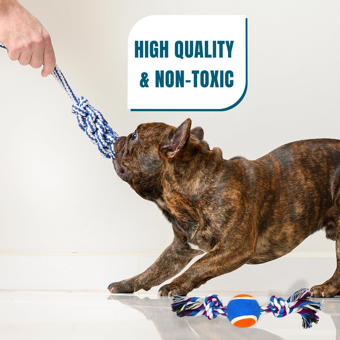 PETS EMPIRE Dog Rope Chew Toy for Small and Medium Breeds pack of 5