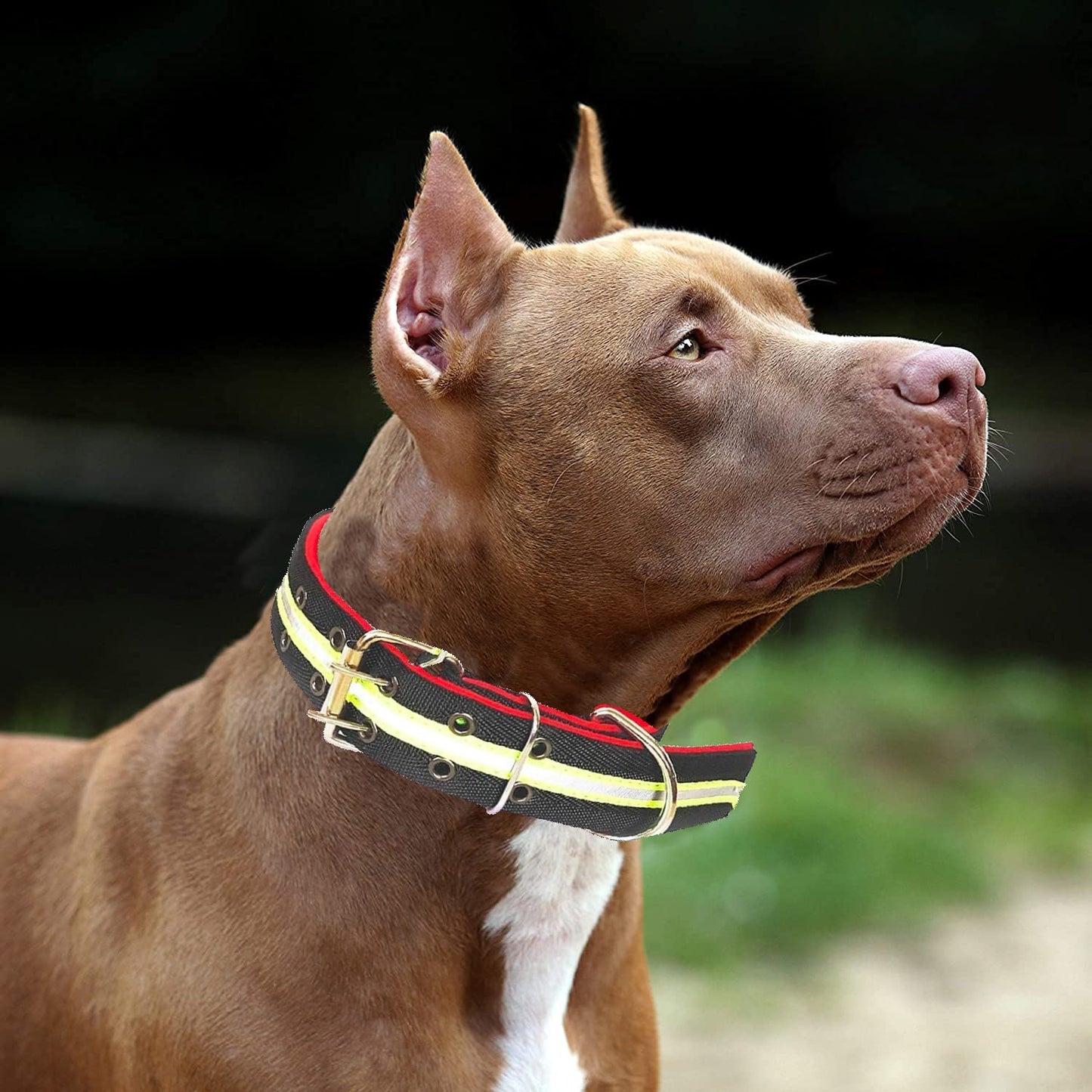 Pets Empire Dog Collar Durable Reflective Easy Clean Comfy Adjustable- 1 piece