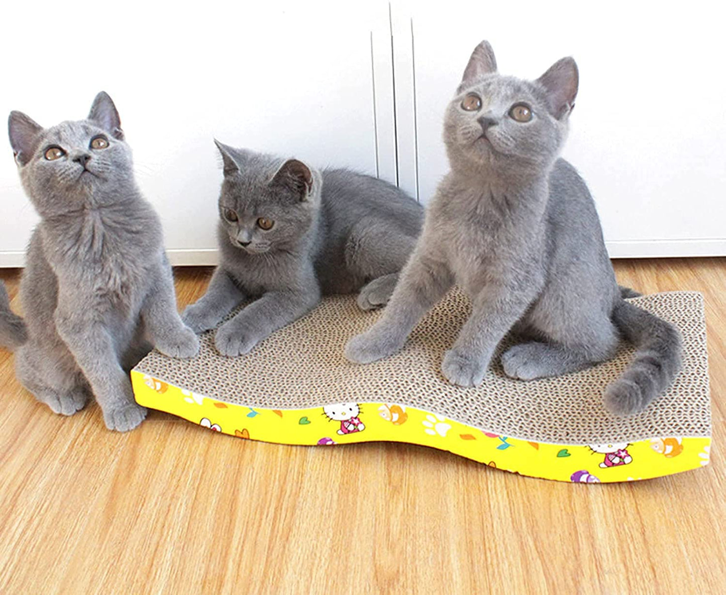 Pets Empire Scratch Board with a Curved Wave Design