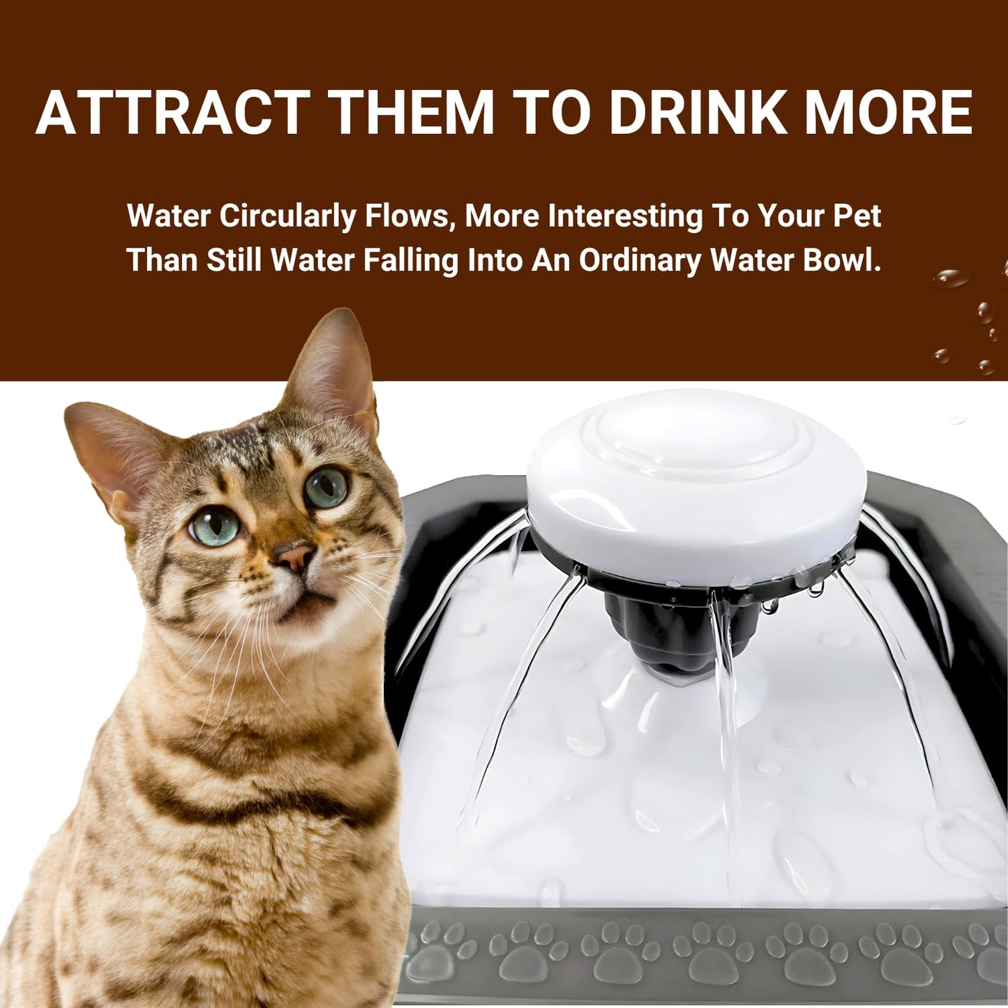 Pets Empire Automatic Water Fountain Pour for Small Dog & Cat's