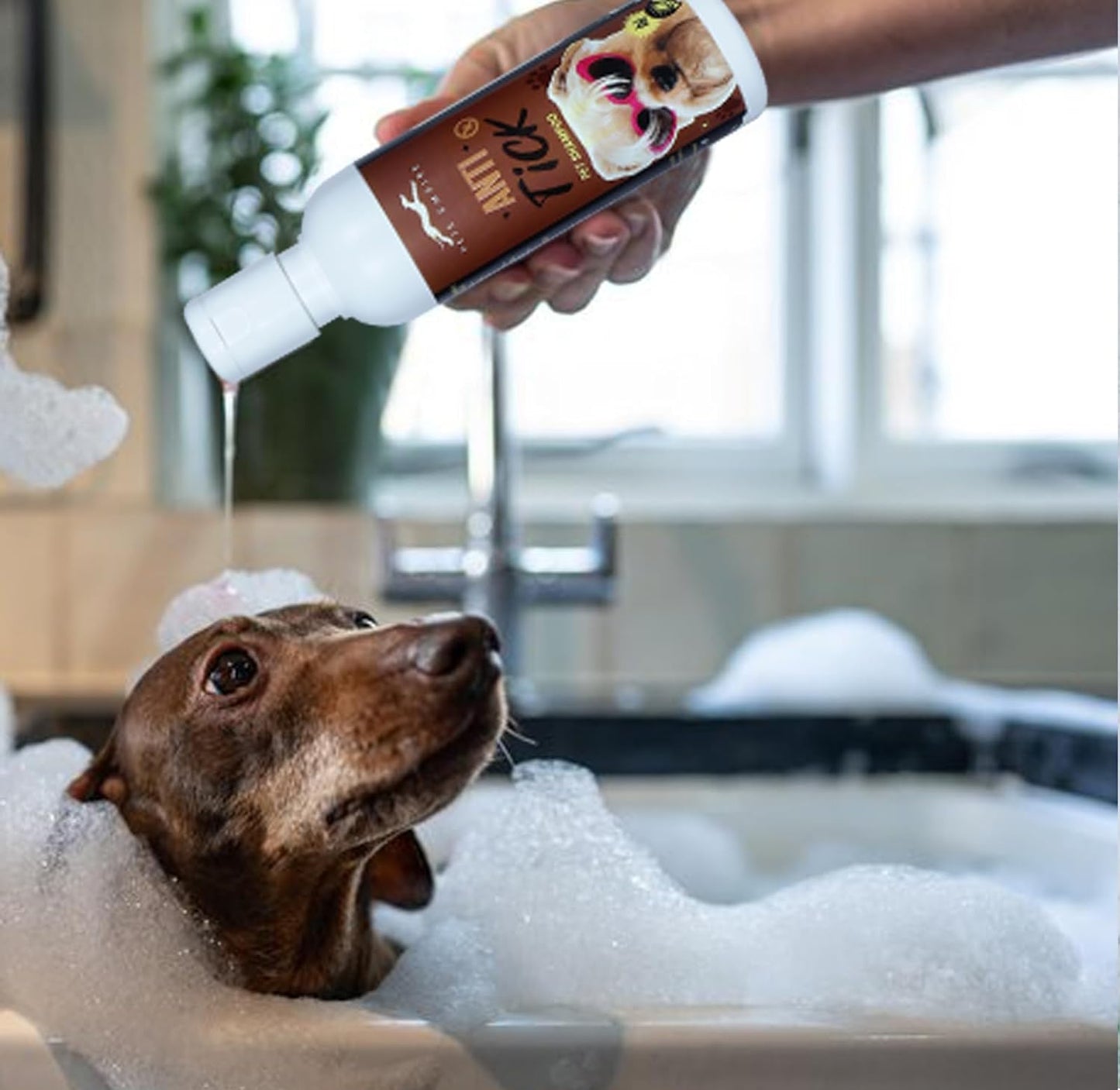 Pets Empire Anti Tick Shampoo for Dogs