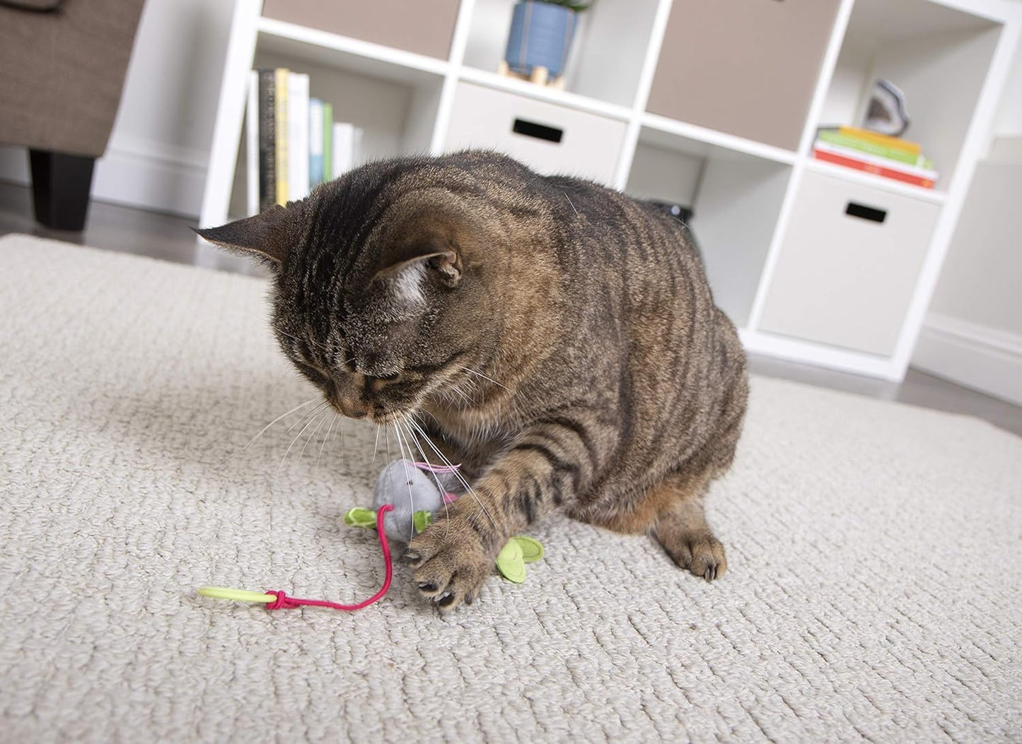 Pets Empire  Bouncing Mouse Cat Toy (Pack Of 2)