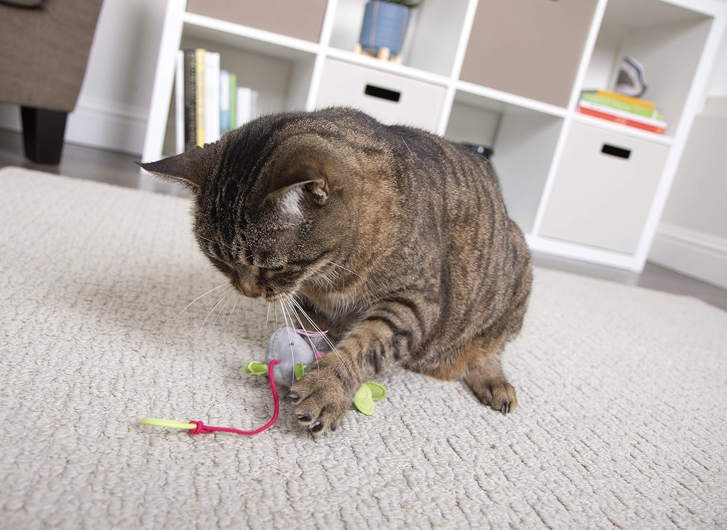 Pets Empire  Bouncing Mouse Cat Toy (Pack Of 2)