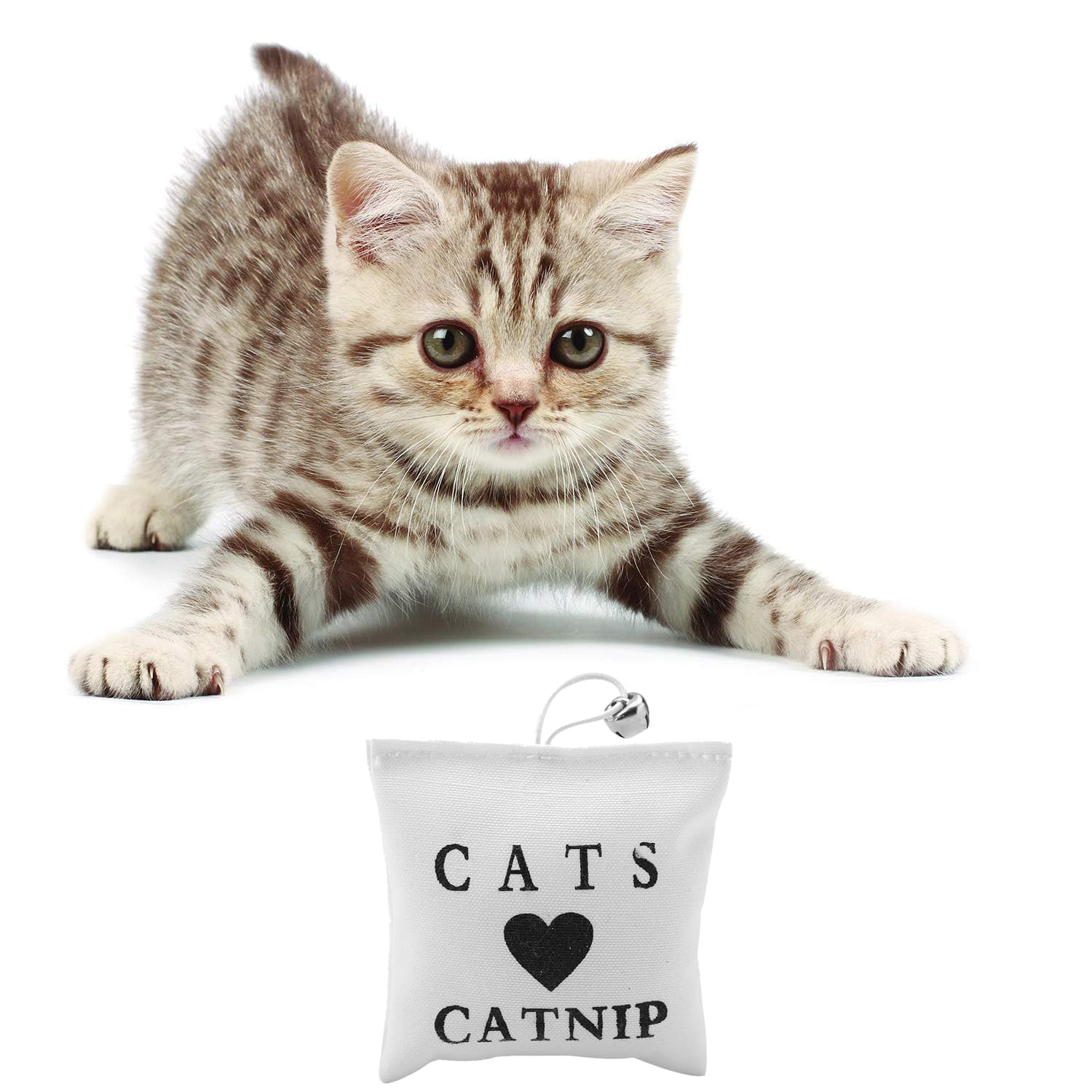 Pets Empire Cats Love Catnip Bag, Toy for Cats and Kitten (Pack of 2)