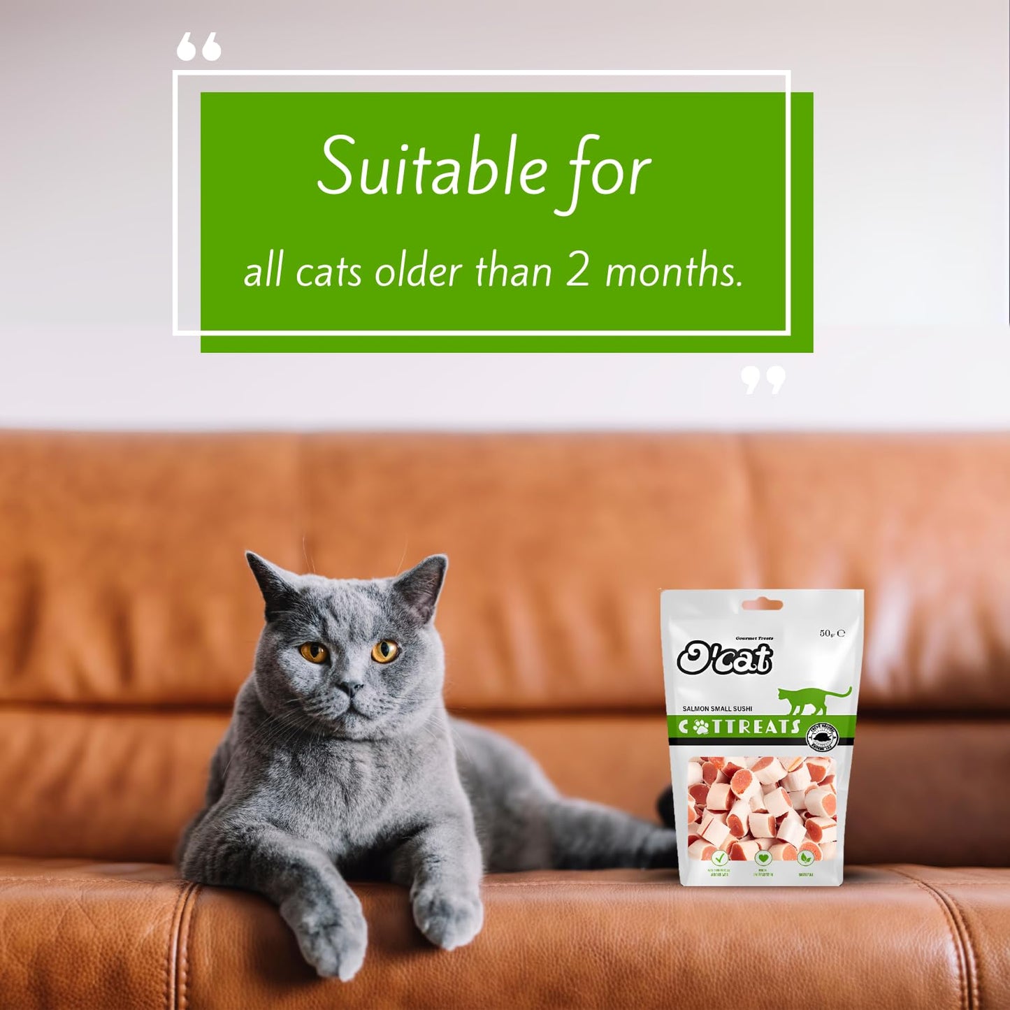 O'Cat Salmon Small Sushi 50 GMS (Pack of 2)