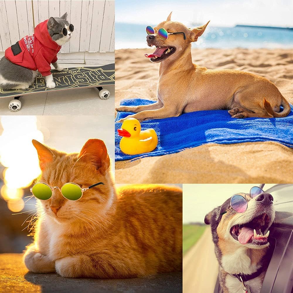 Pets Empire Eye Protection Sunglasses for Cat/Dogs