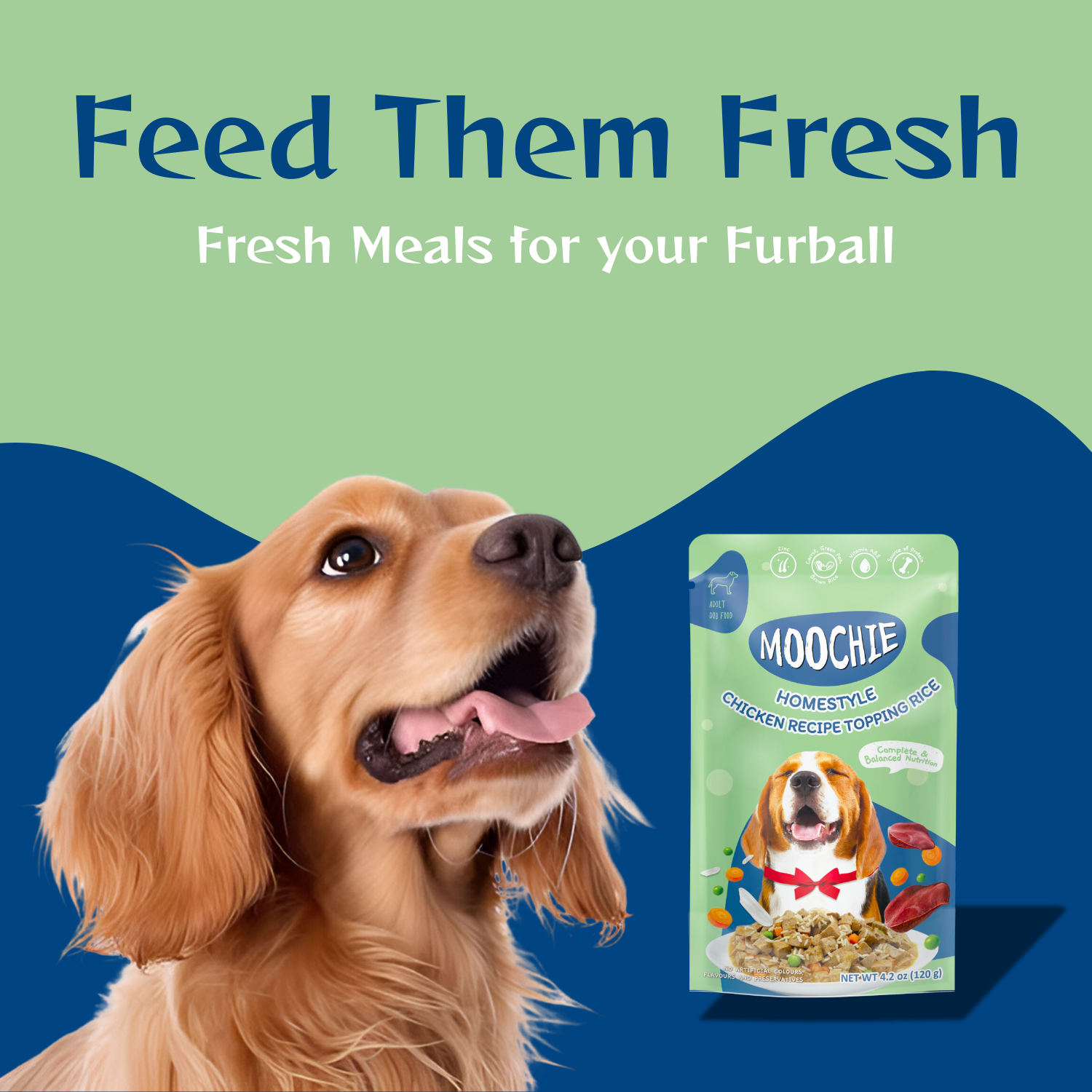 Moochie Chicken Recipe Topping Rice for Dogs – 120g | Healthy HomeStyle Meal