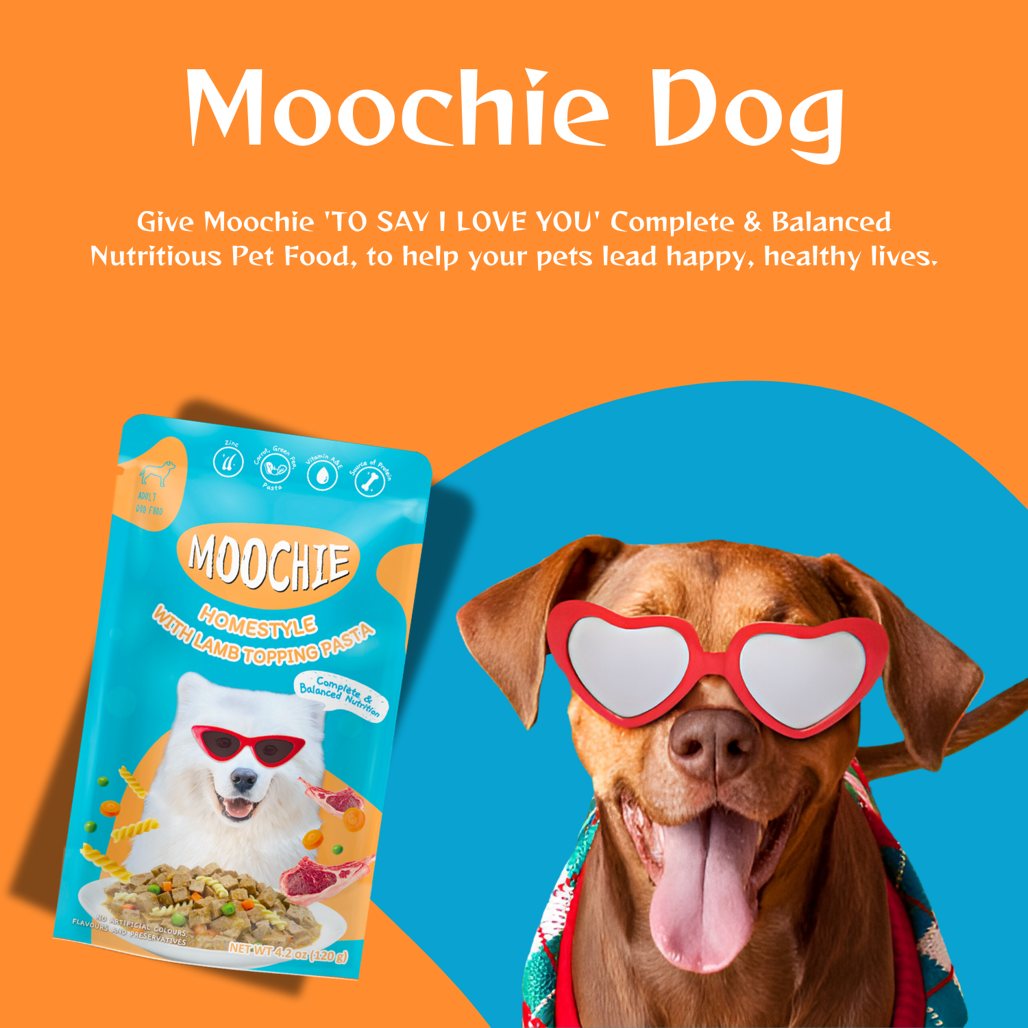 Moochie Lamb & Pasta Wet Dog Food – 120g | Healthy HomeStyle Meal for Dogs