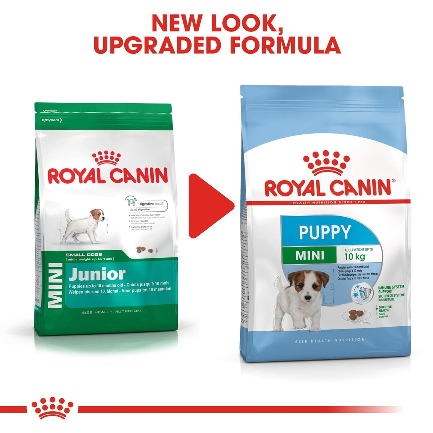 ROYAL CANIN MINI PUPPY DRY FOOD