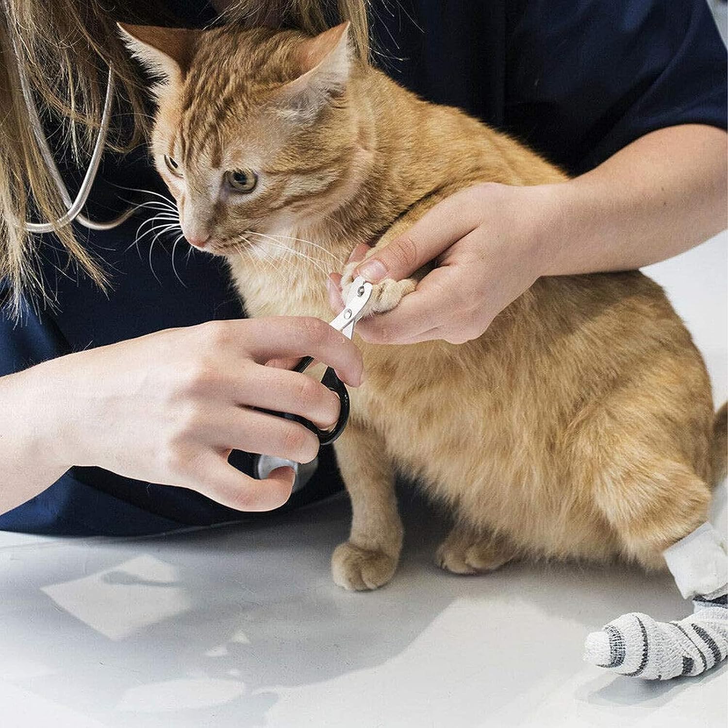 Pets Empire Nail Clippers for Cats