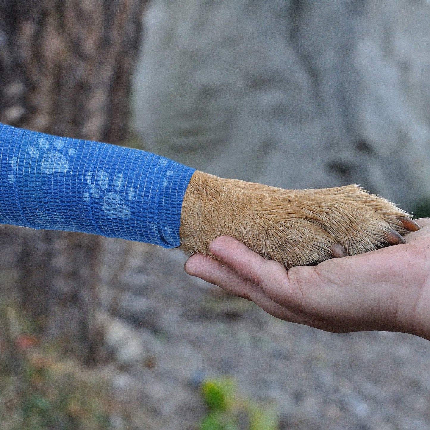 Pets Empire Bandage - Injury Wrap Tapes - Pack of 2