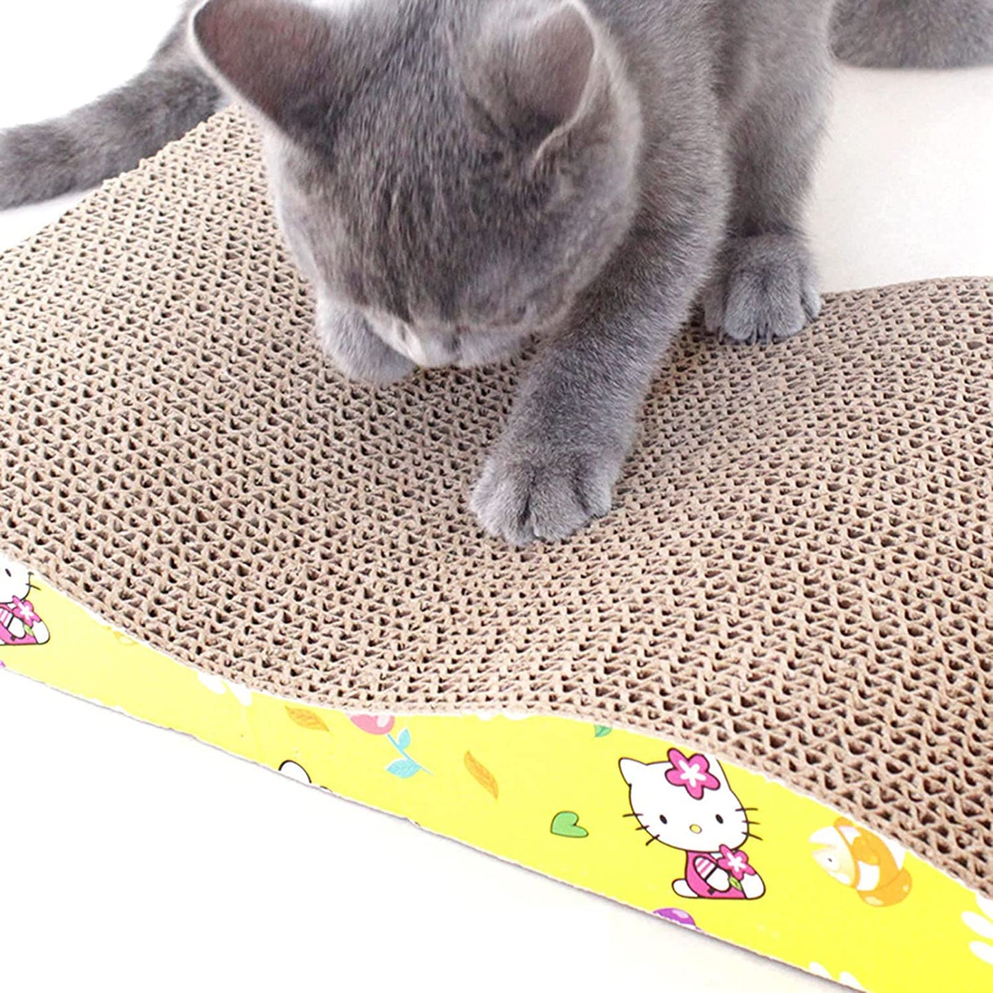 Pets Empire Scratch Board with a Curved Wave Design