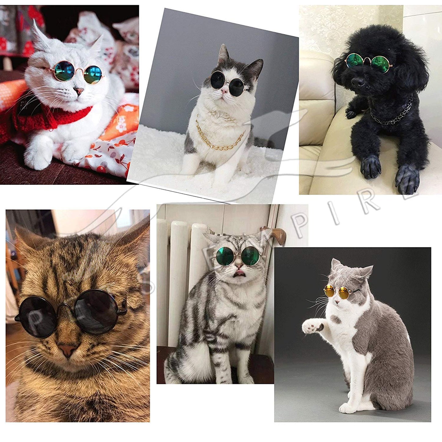 Pets Empire Eye Protection Sunglasses for Cat/Dogs