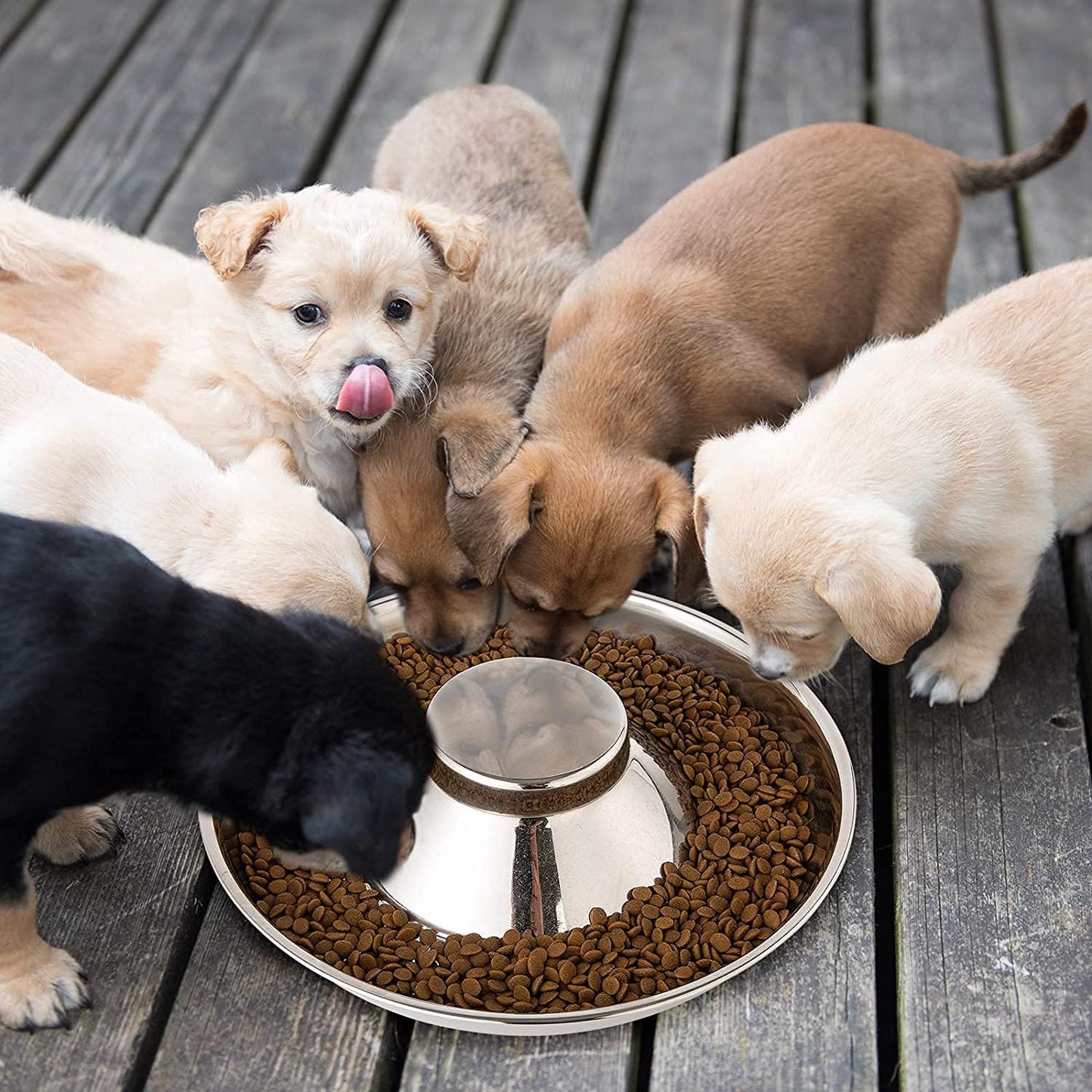 Pets Empire Stainless Steel Slow Feeding Dish