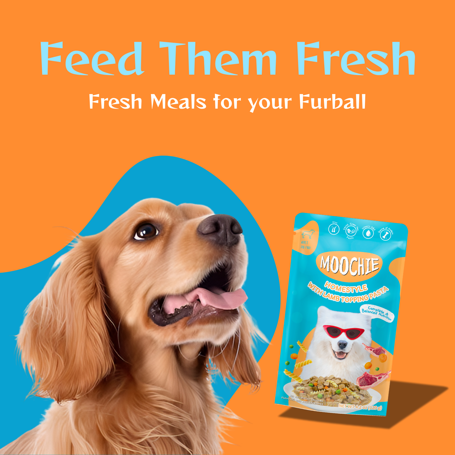Moochie Lamb & Pasta Wet Dog Food – 120g | Healthy HomeStyle Meal for Dogs