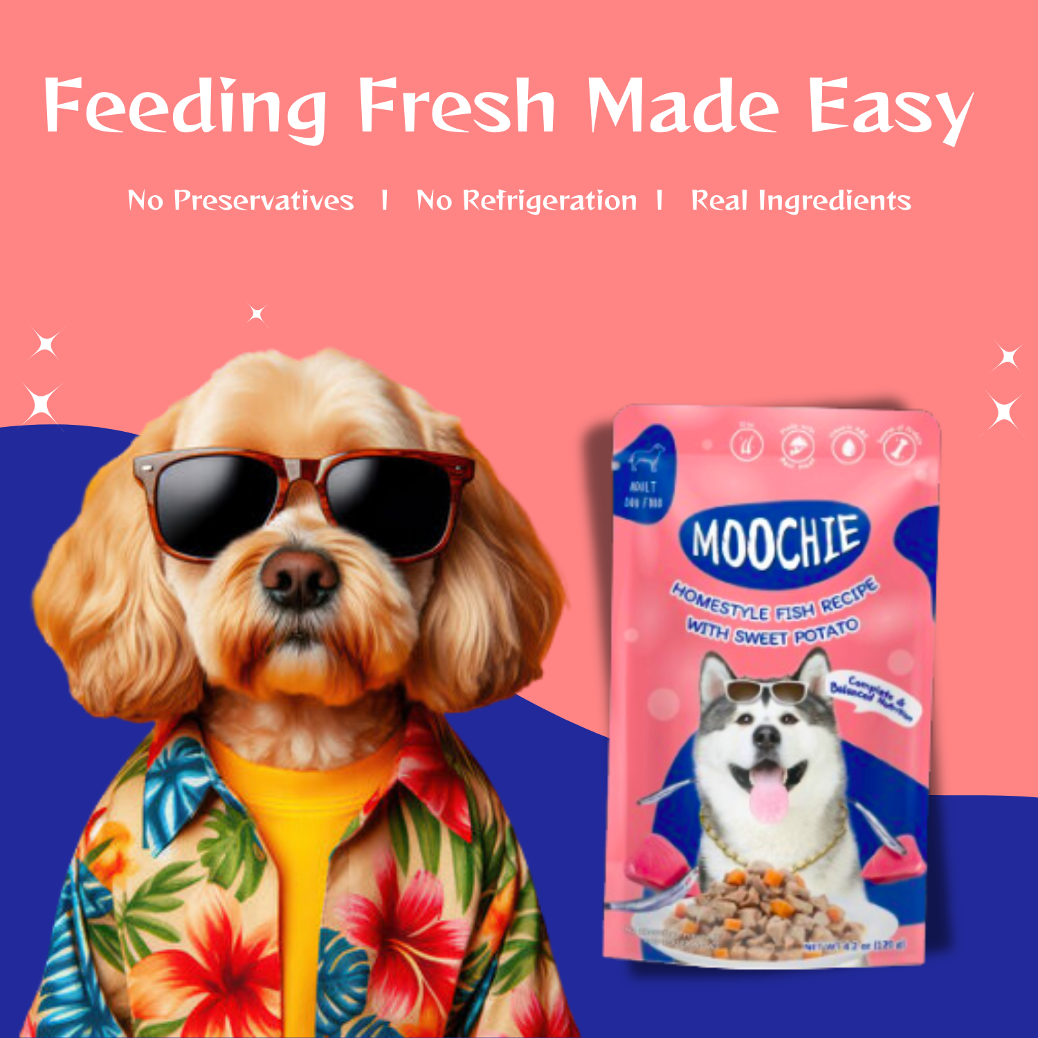 Moochie Fish & Sweet Potato Wet Dog Food – 120g | Healthy & Nutritious HomeStyle Meal for Dogs