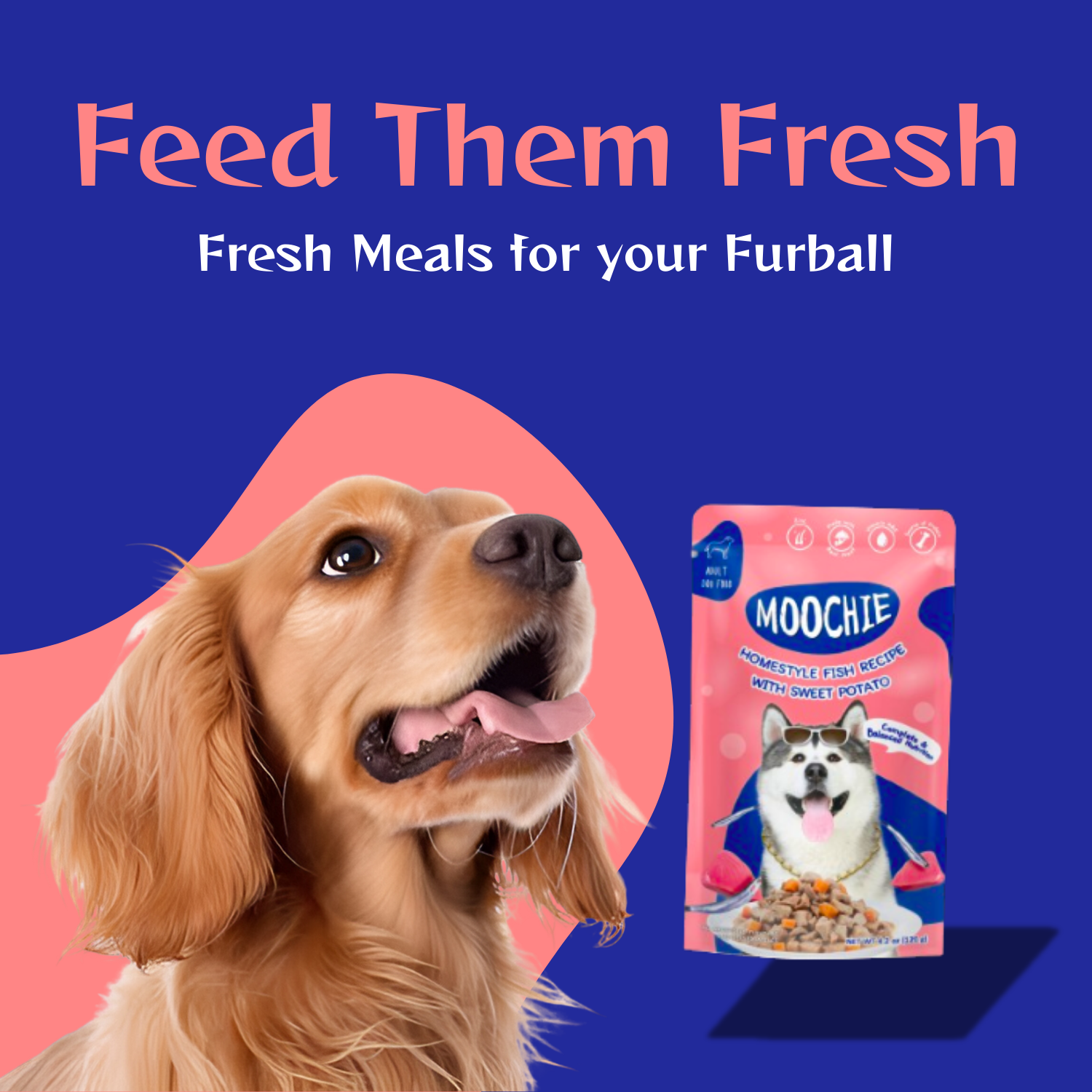 Moochie Fish & Sweet Potato Wet Dog Food – 120g | Healthy & Nutritious HomeStyle Meal for Dogs