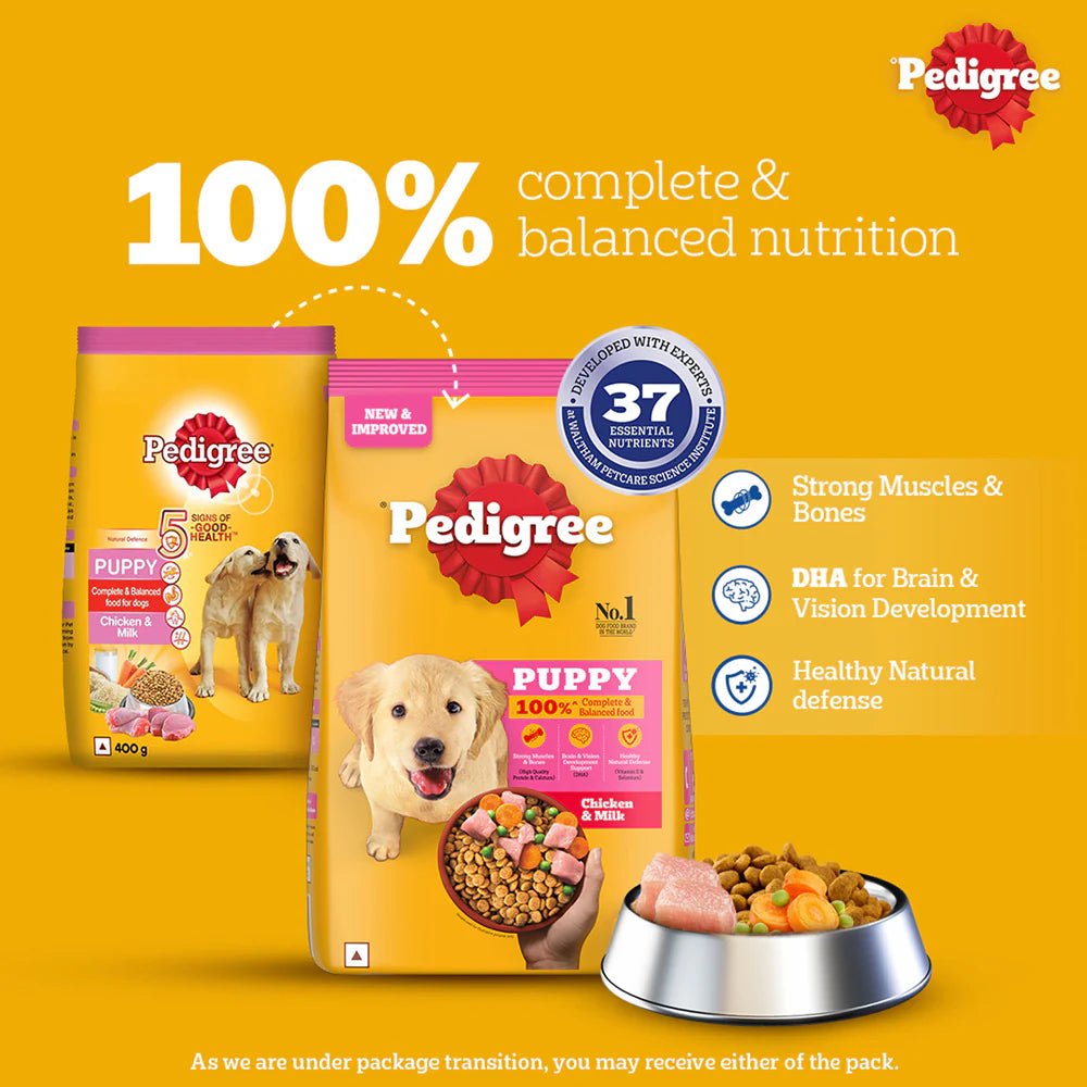 Pedigree Chicken Milk Dry Puppy Food - Main Image
