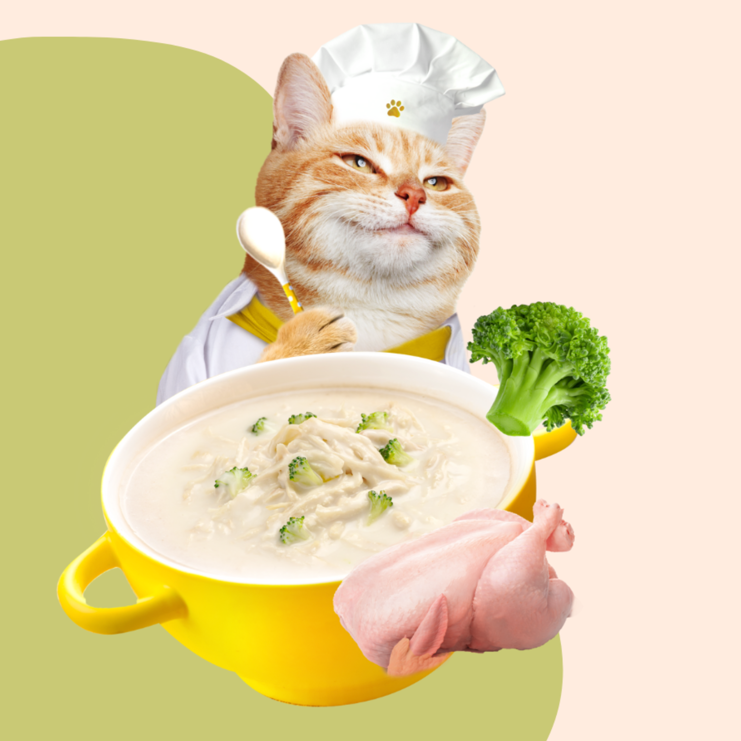 Cat Moochie Creamy Soup/Broths with Chicken and Broccoli (40g)