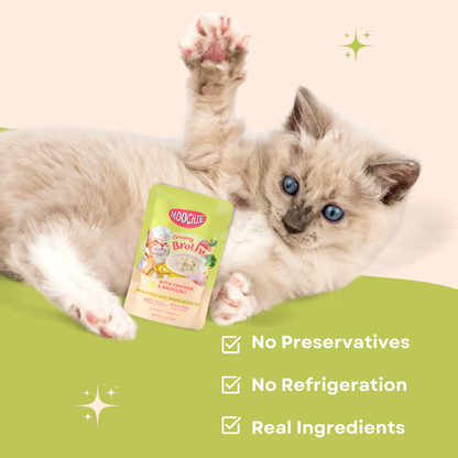 Moochie Creamy Broths for Cats - All Mix Flavors (40g)Each